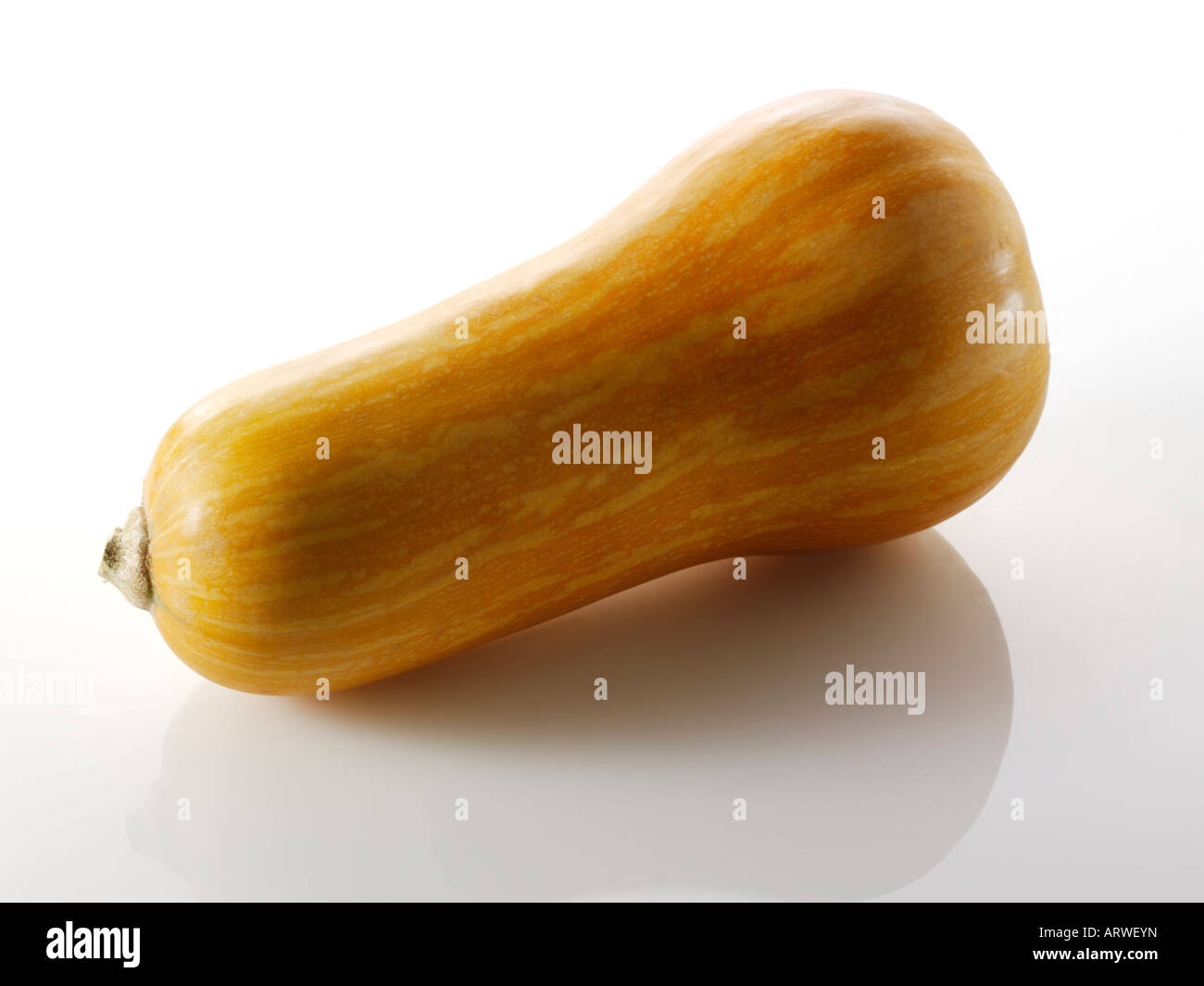 Coquina Squash whole on a white background Stock Photo