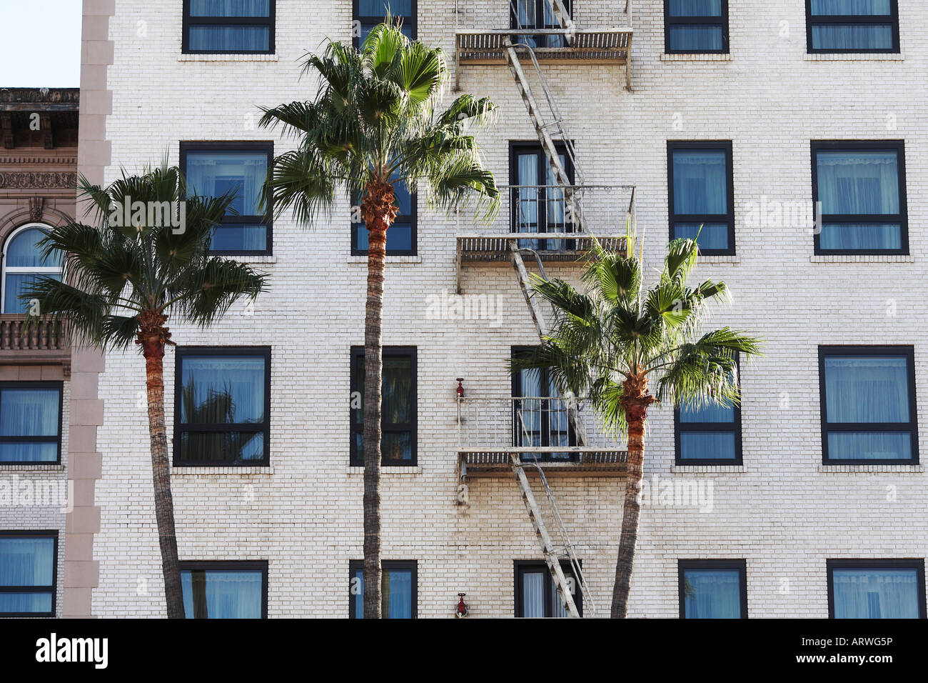 Palm Trees Up Against Office Building Beverly Hills, Los Angeles County