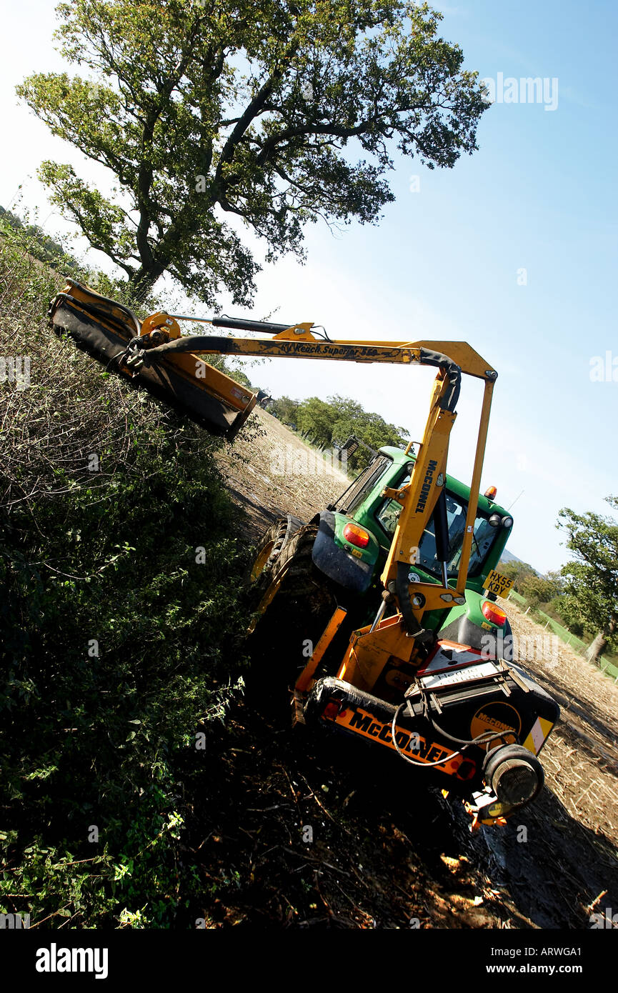 Hedge trimming on the farm Stock Photo Alamy