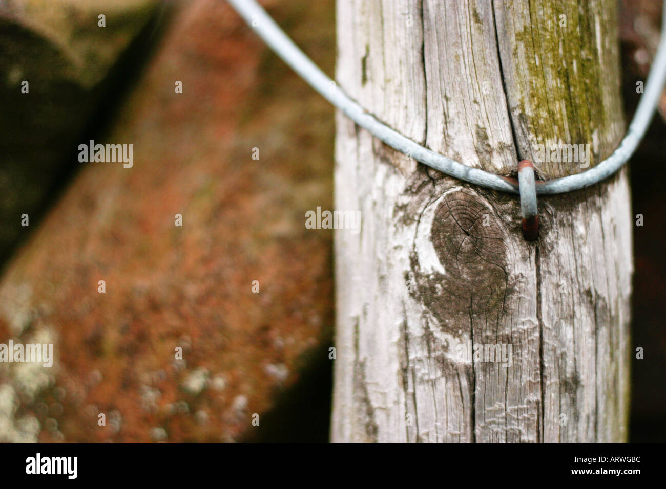 abstract image of old timber fence post with a curved section of wire attached to it with a u nail. Scotland 2005 Stock Photo