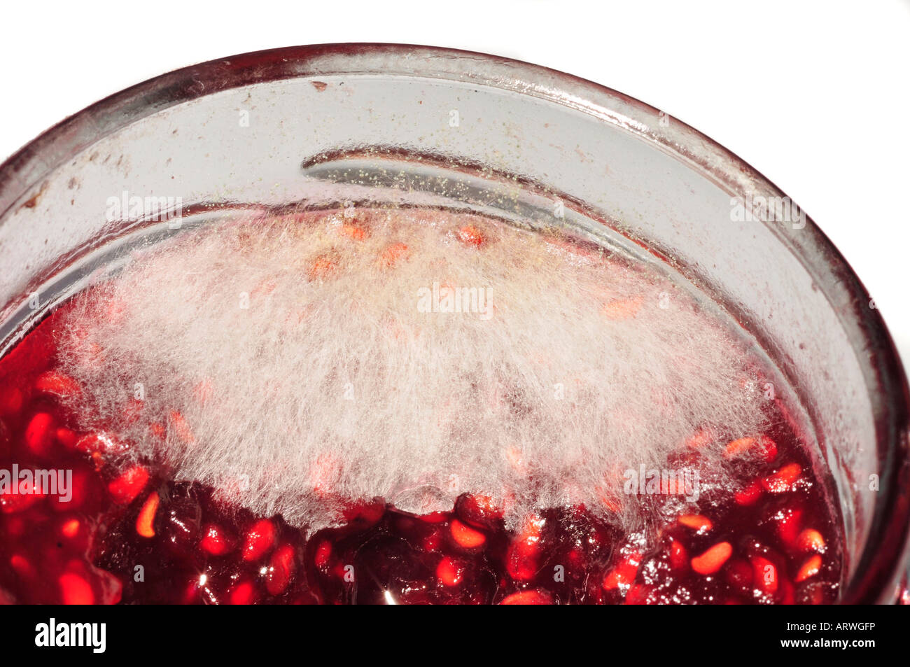 Glass with mouldy jam Stock Photo
