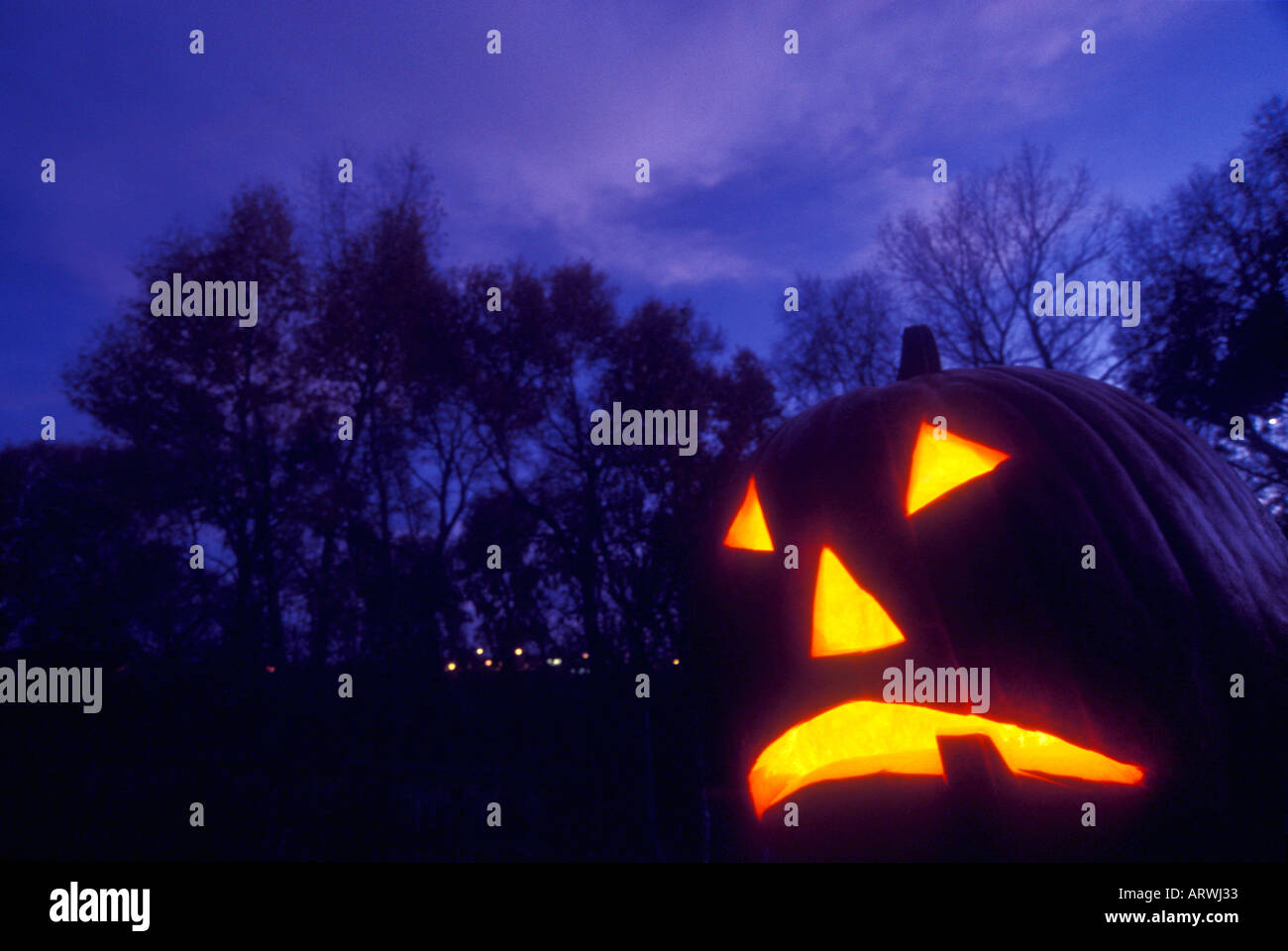Pumpkin Jack O Lantern against night sky Stock Photo - Alamy