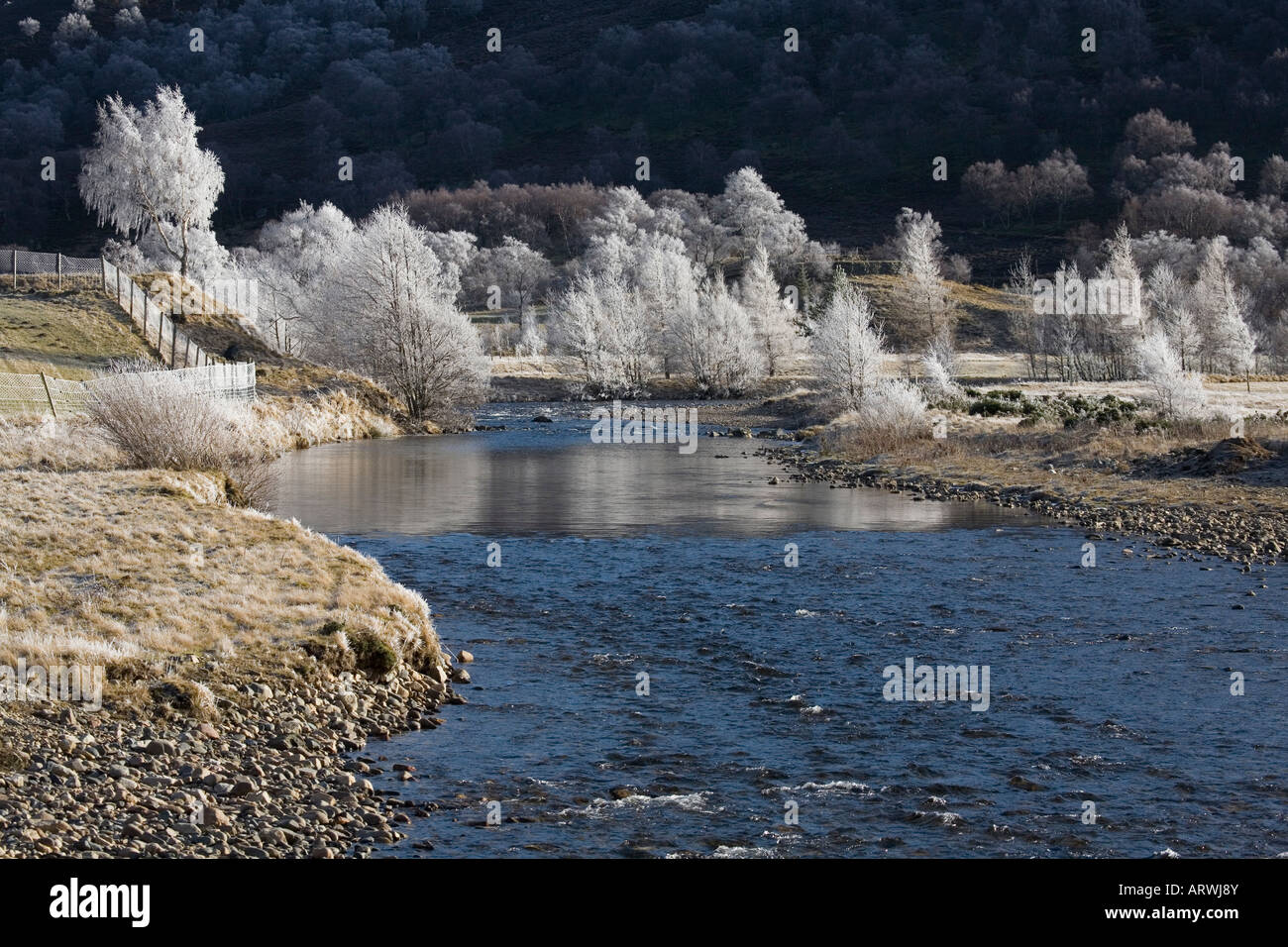Hoar frost on riverside frozen trees; The River Clunie and frosted birch trees. Cold january winter landscapes at Braemar, Aberdeenshire, Scotland, UK Stock Photo