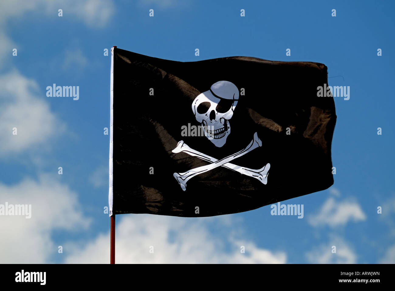 Pirate flag. Stock Photo