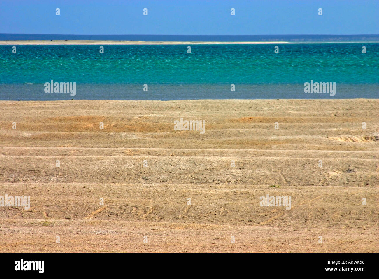 Deserted beach full of cockleshells at Shell Beach, UNESCO Shark Bay World Heritage Centre near Denham, Western Australia Stock Photo