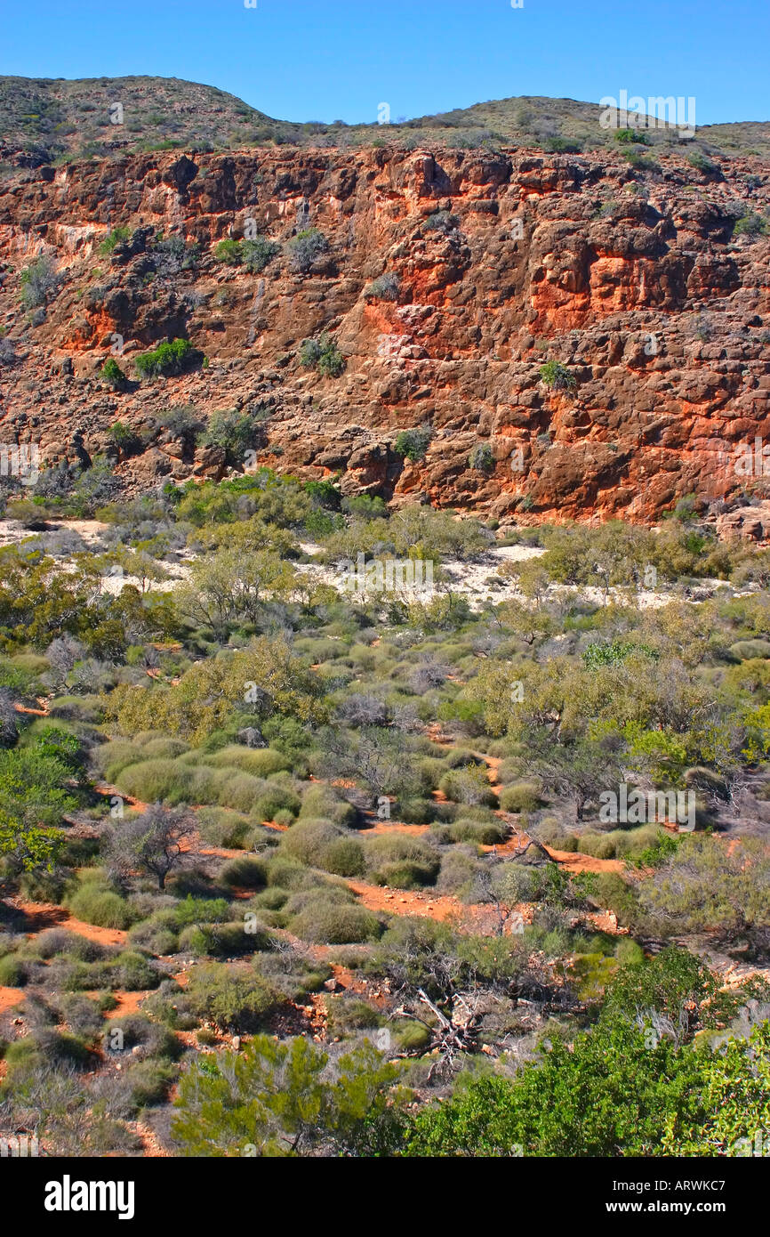 Red cliffs of the Shothole Charles Knife and Yardie Creek Gorges of Cape Range National Park near Exmouth Western Australia Stock Photo