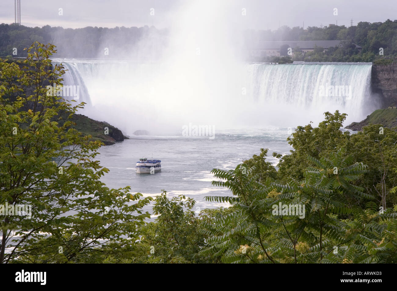 Maid of the Mist returns from Horse Shoe Falls Stock Photo