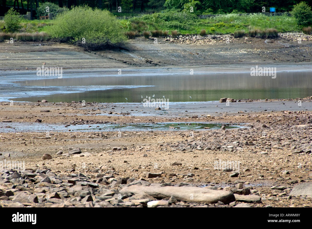 Empty reservoir shoreline Stock Photo