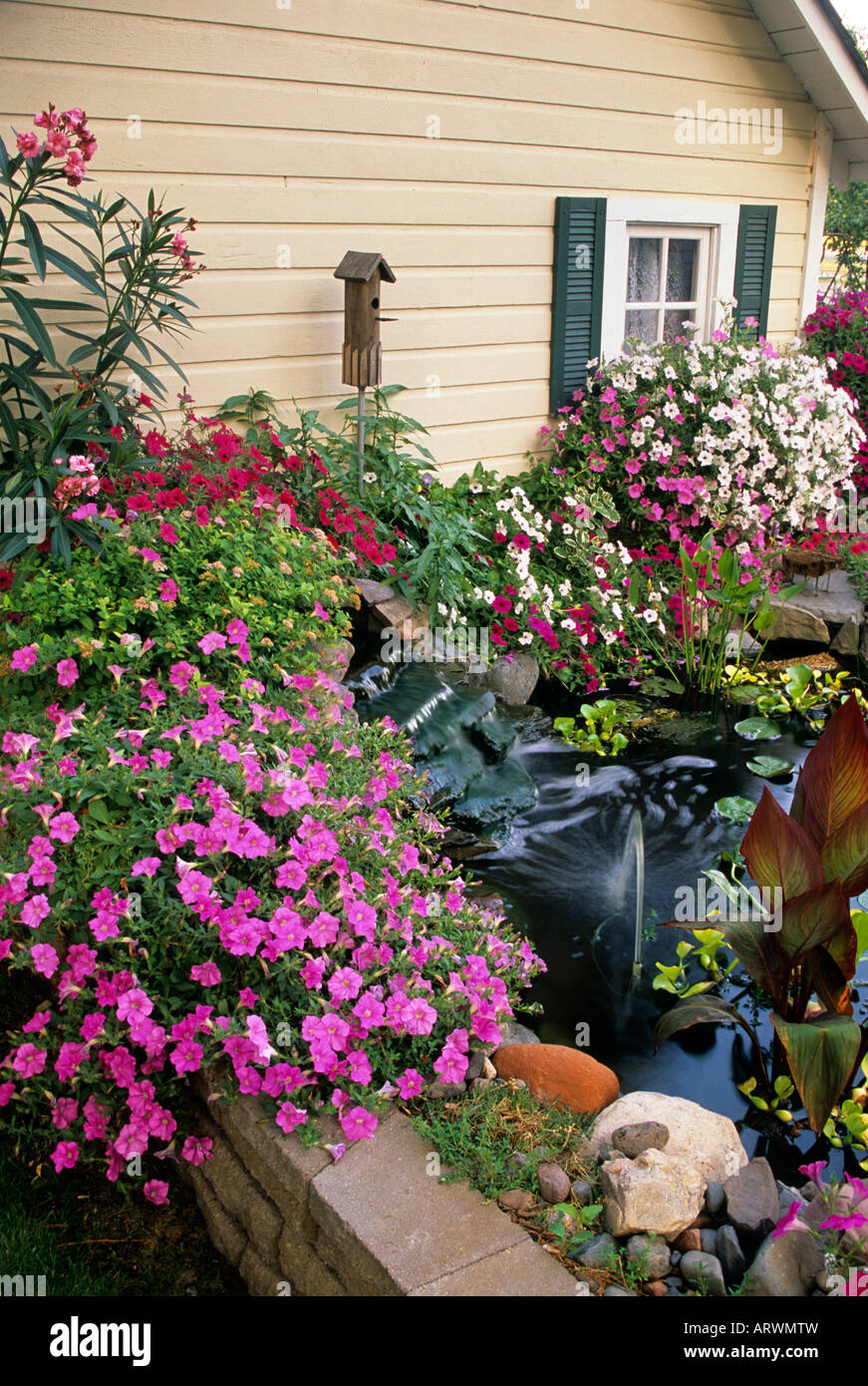 tidal wave petunias tidal wave petunias