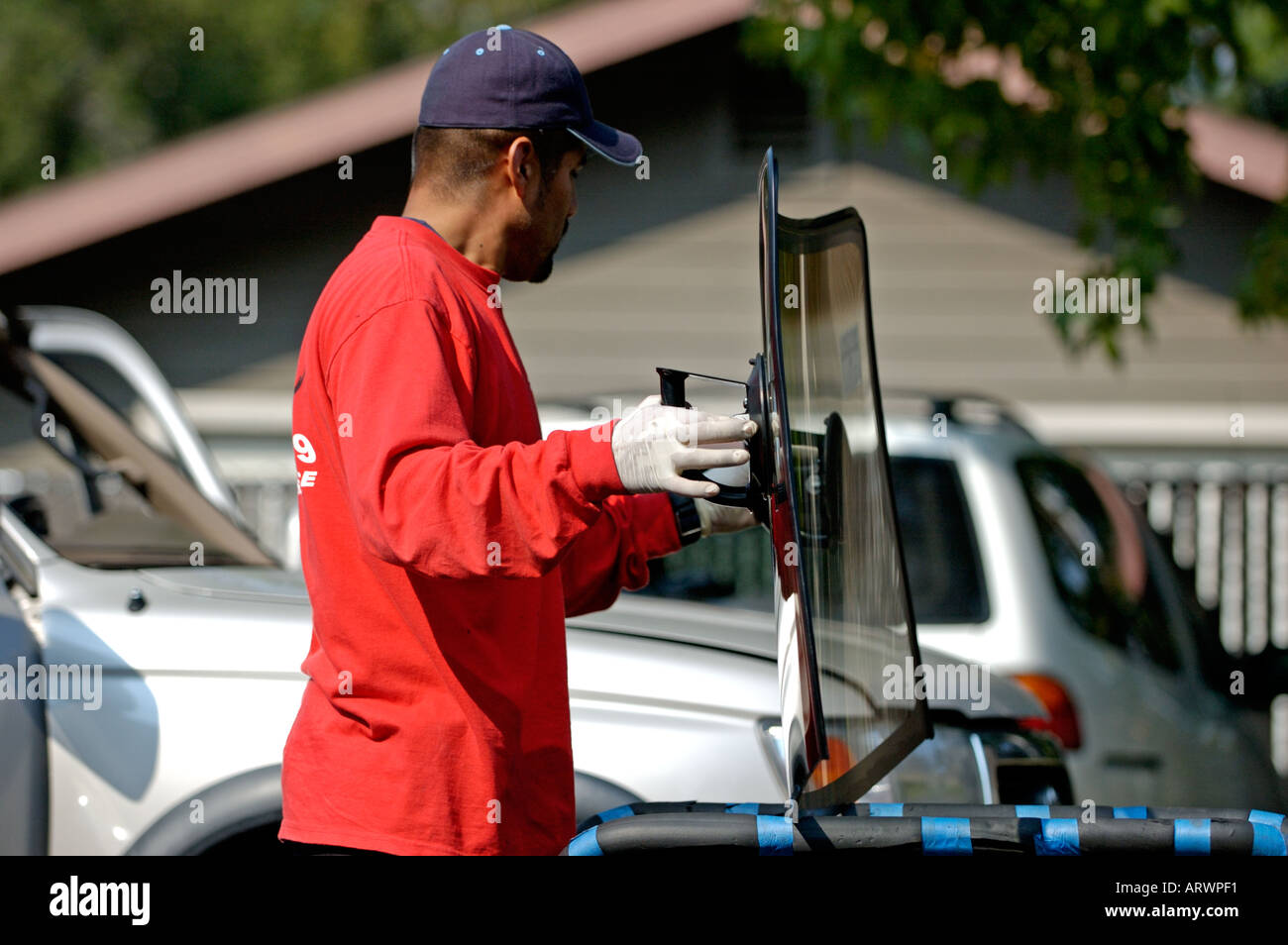 Young worker installing windshield on SUV vehicle Stock Photo Alamy