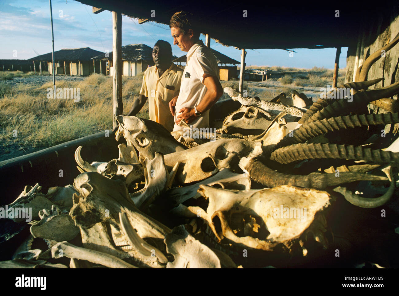 Richard Leakey in 1977 with Kimoya Kimeu at Koobi Fora in East Turkana, site of many important hominid discoveries Stock Photo