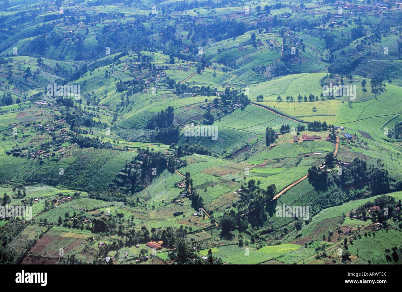 White highlands kenya hires stock photography and images Alamy