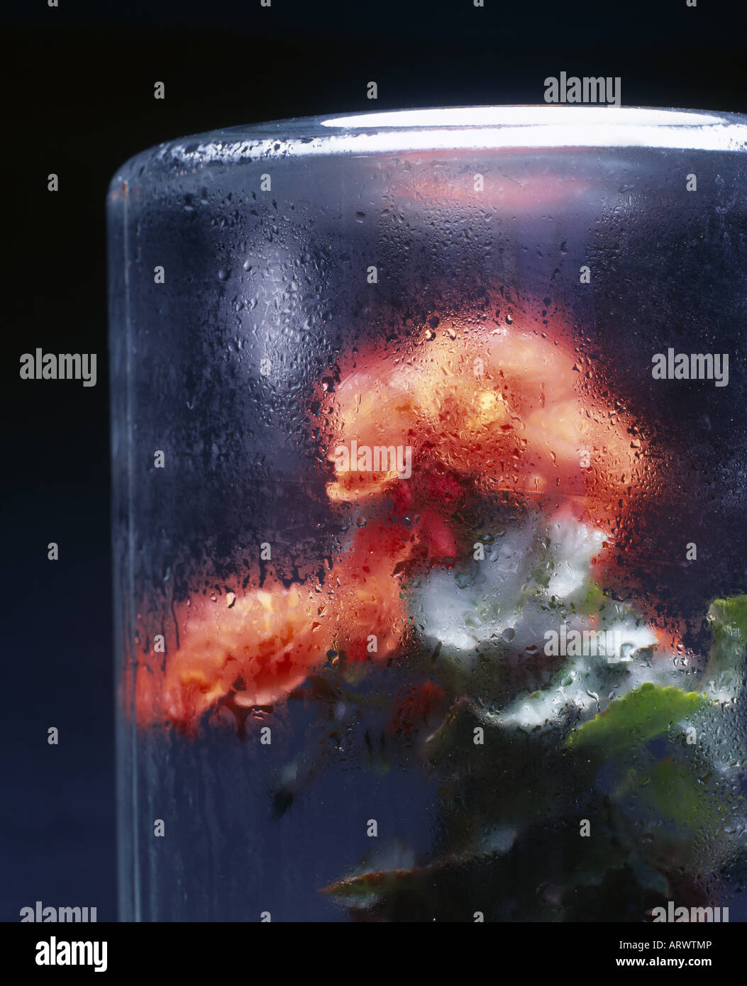 Stoma Inverting Stoma hi-res stock photography and images - Alamy