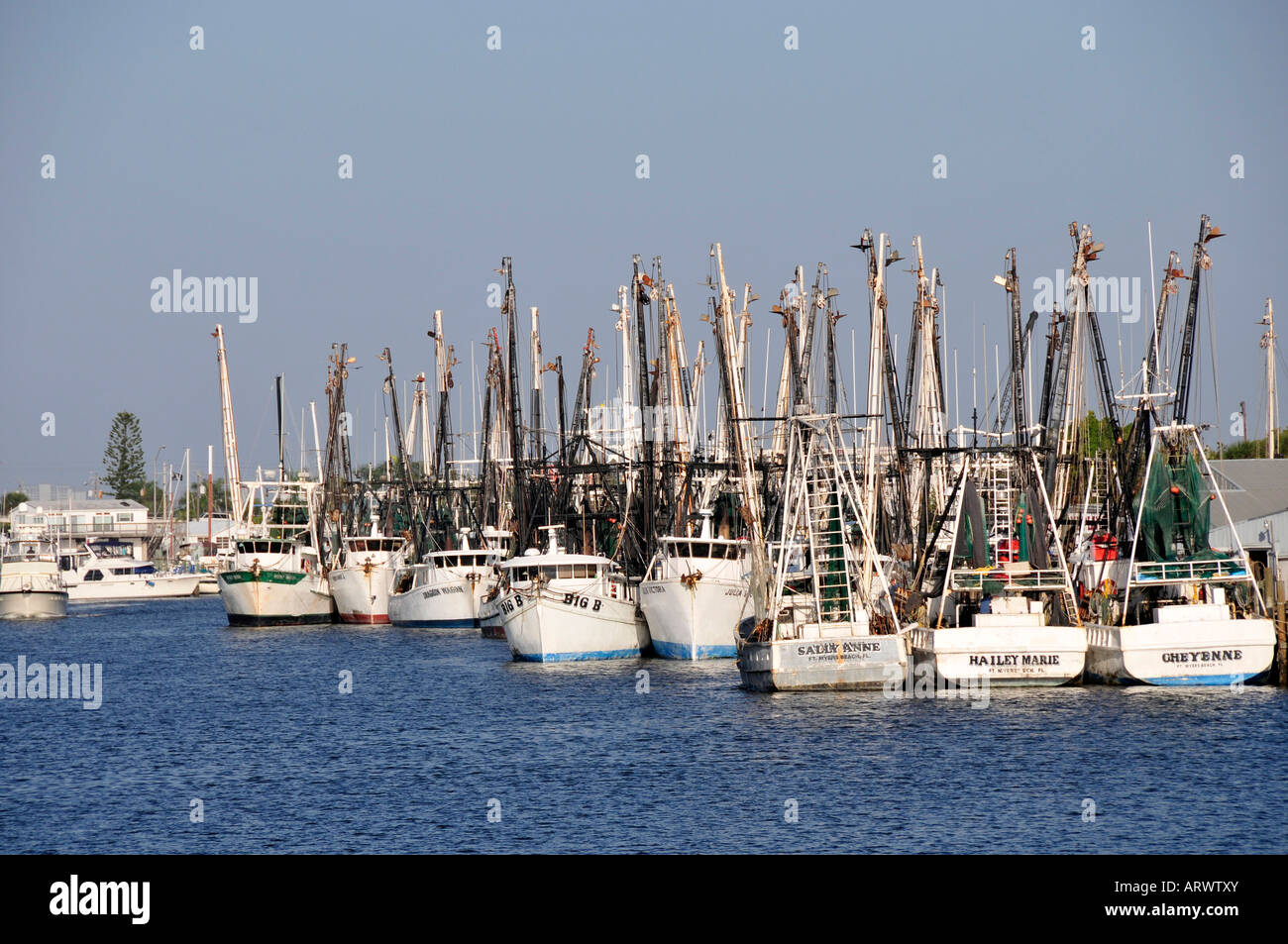 Fishing fleet in The Harbor at Fort FT Myers Beach Florida intercoastal waterway FL US United States boats ships Stock Photo