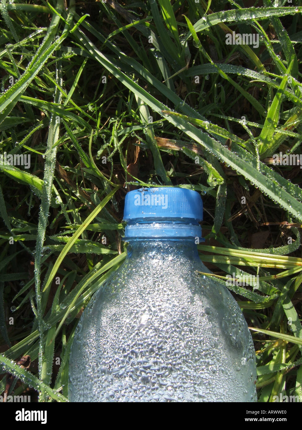 water bottle in grass Stock Photo - Alamy