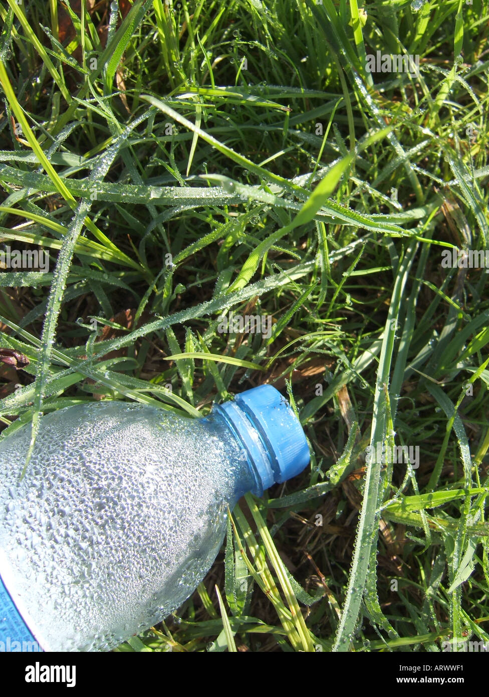 water bottle in grass Stock Photo - Alamy