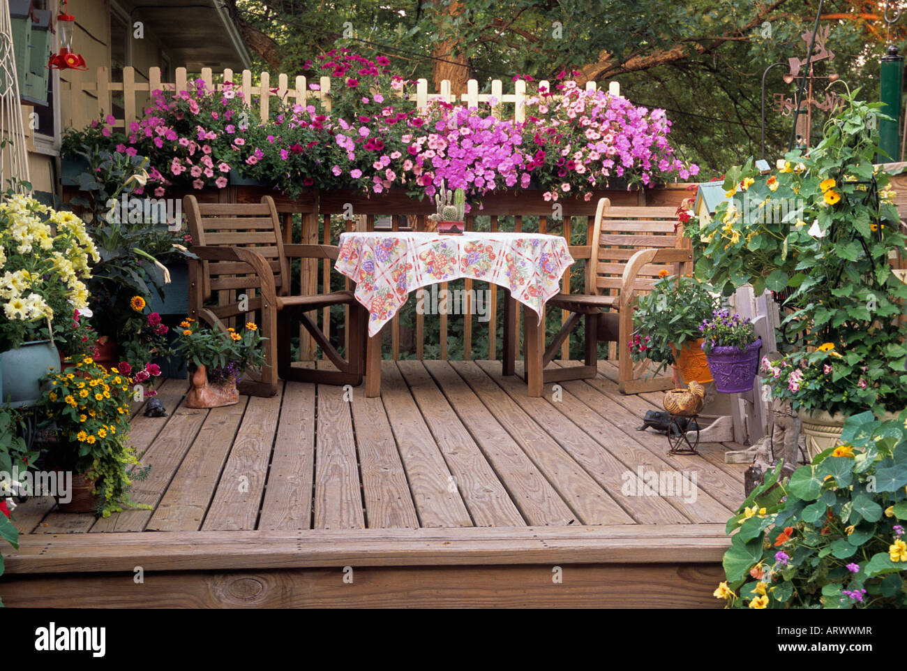 OUTDOOR DINING AREA ON DECK OF HOME. WAVE PETUNIAS, BLACK-EYED SUSAN VINES, IMPATIENS, NICOTIANA. SUMMER. Stock Photo