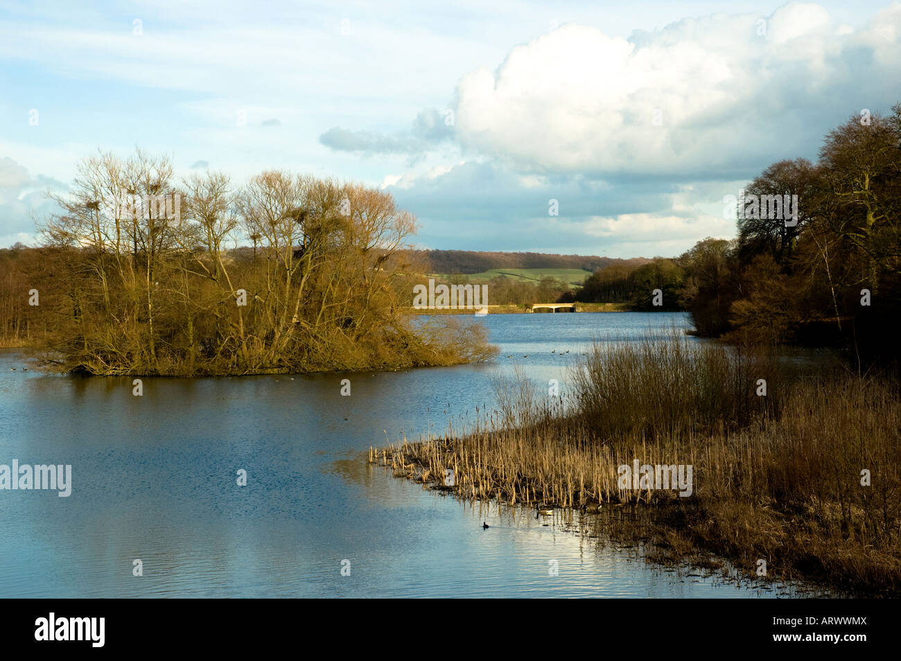 Wildlife reserve in Yorkshire Stock Photo