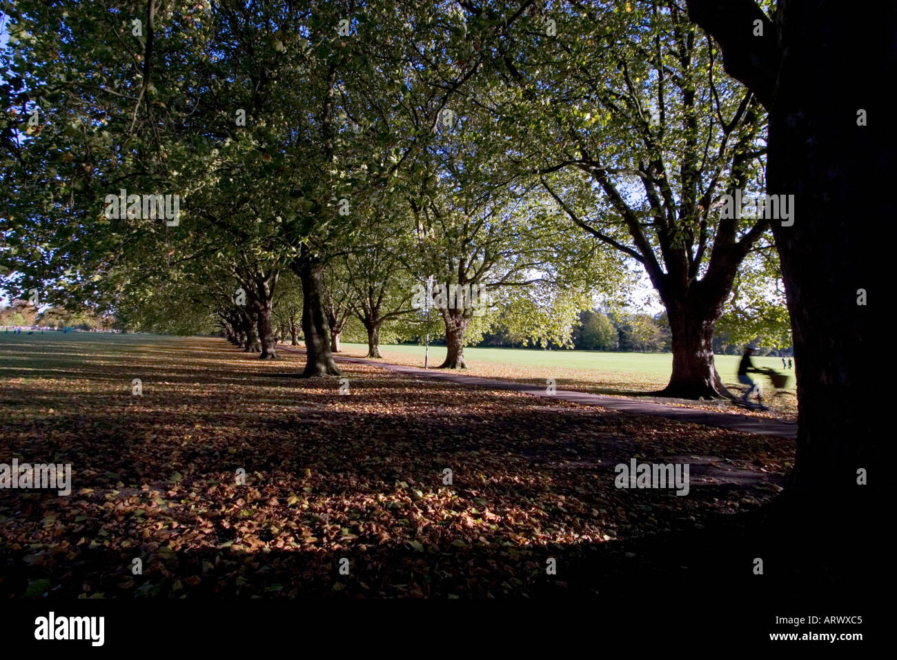 Jesus Green Cambridge Stock Photo Alamy