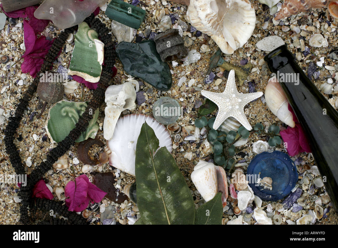 Collection of found objects hi-res stock photography and images - Alamy