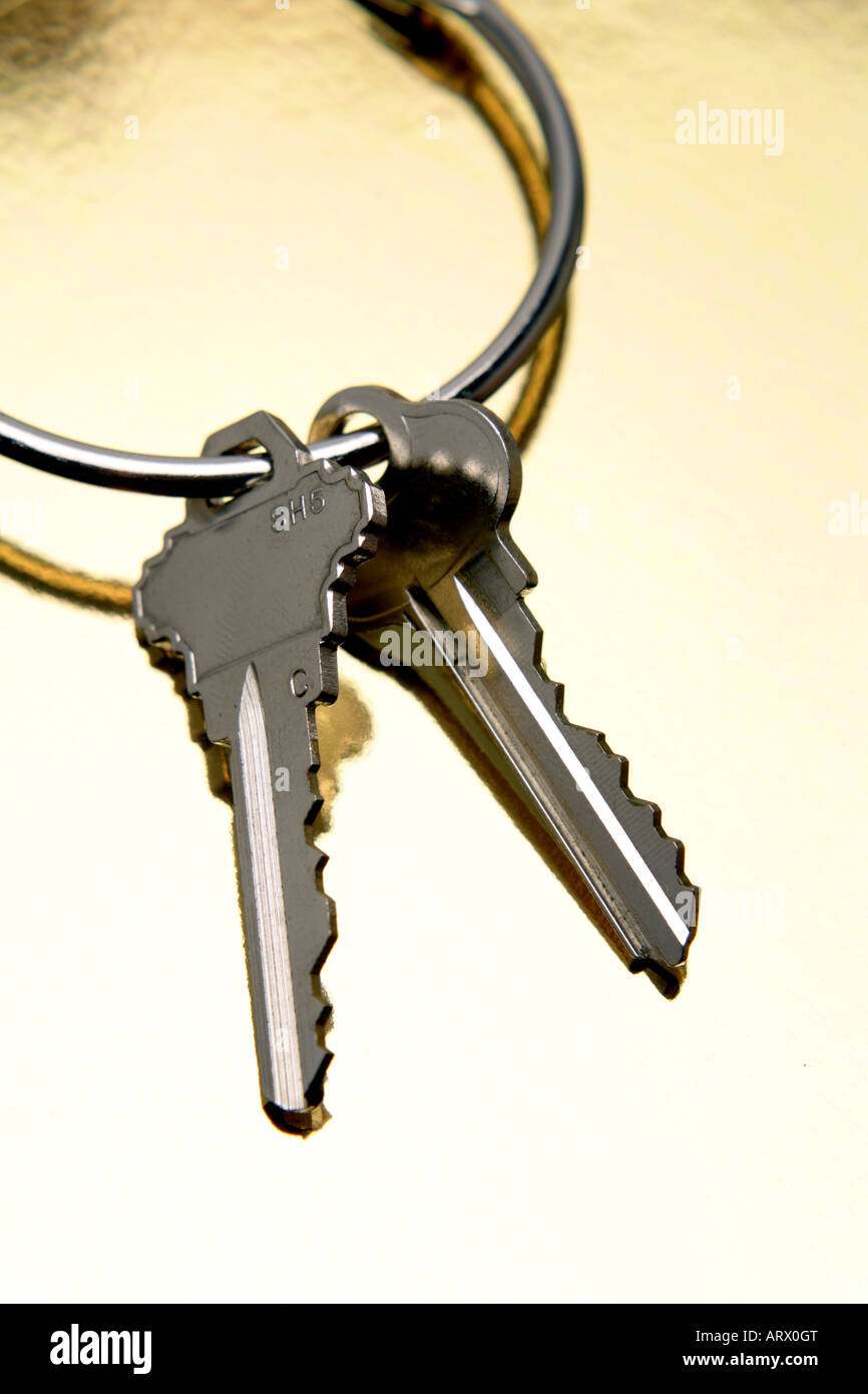 Two keys on keyring Stock Photo Alamy