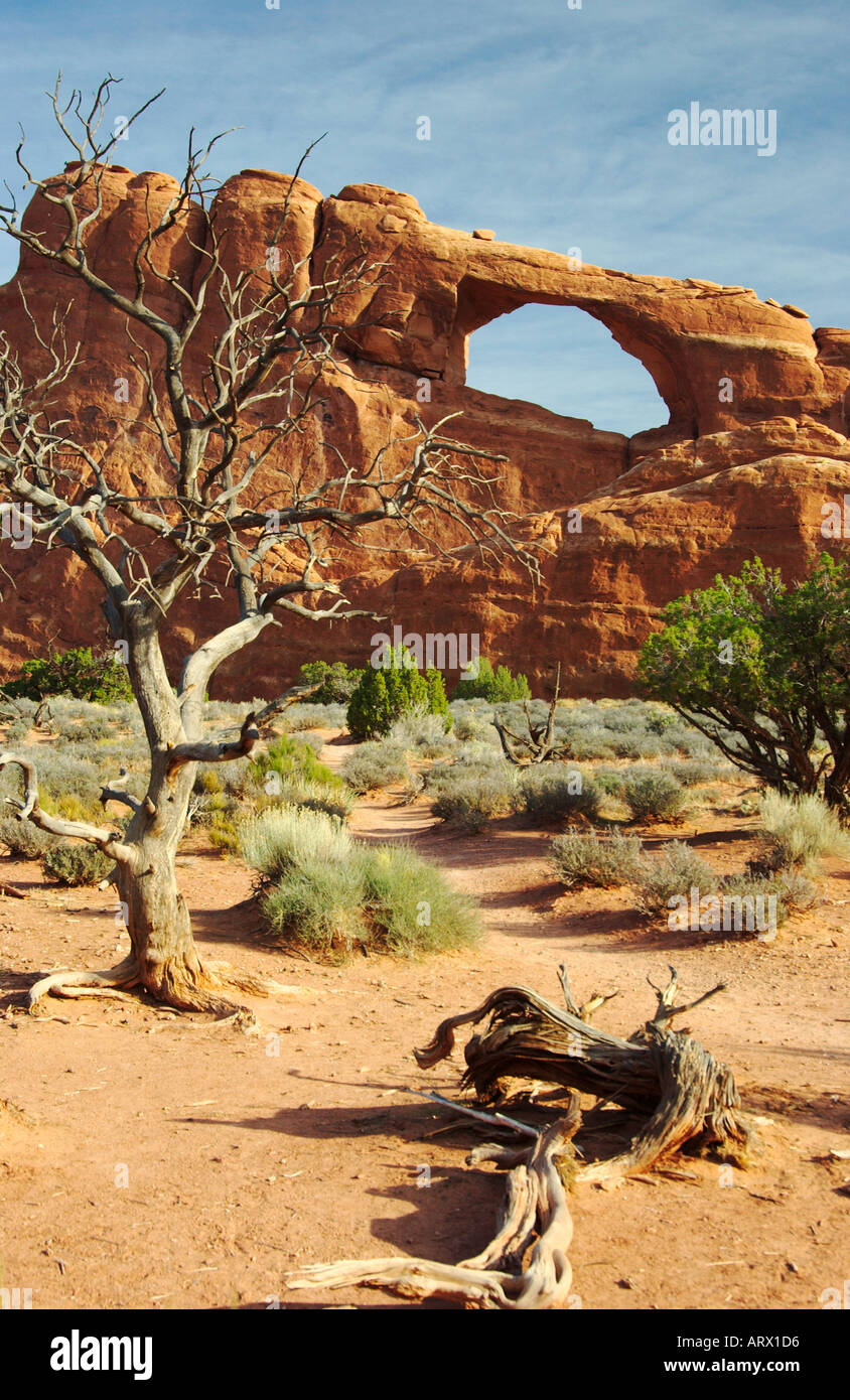 Vertical view arches national hi-res stock photography and images - Alamy