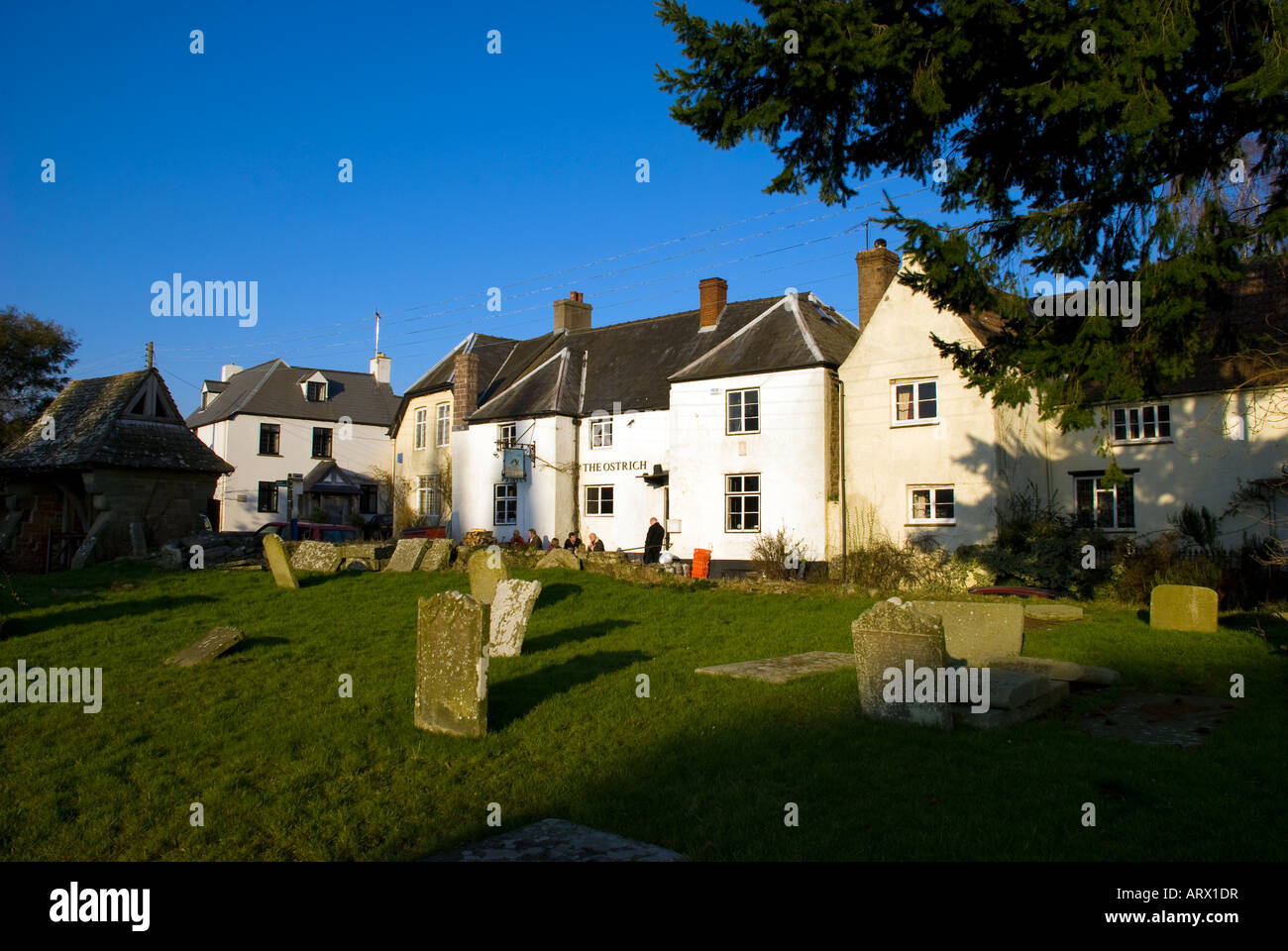 Newland Forest of Dean Gloucestershire UK The Ostrich Inn a pub famous for real ale and food Stock Photo
