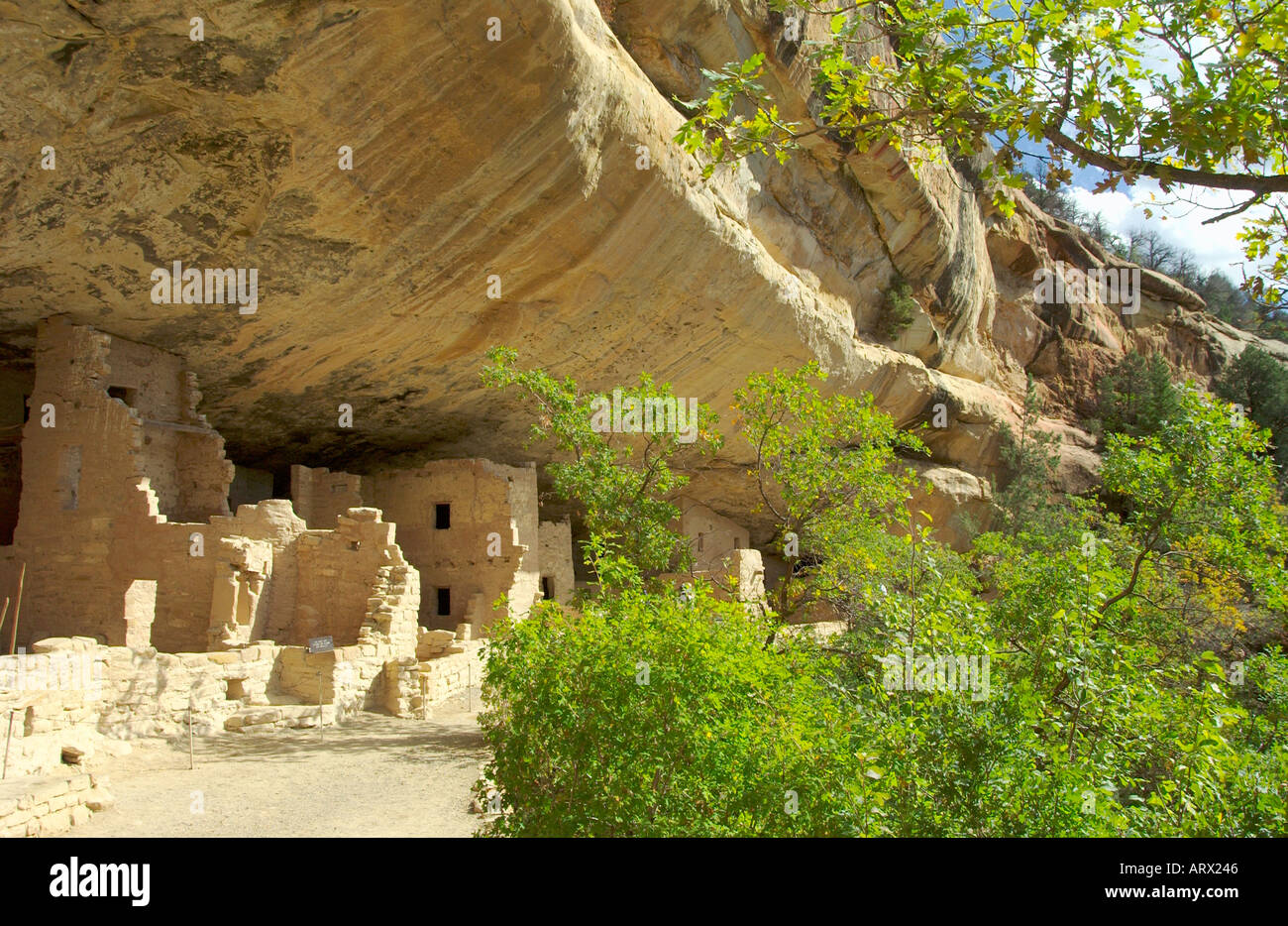 Spruce Tree House ruins at Mesa Verde National Park Colorado USA Stock ...
