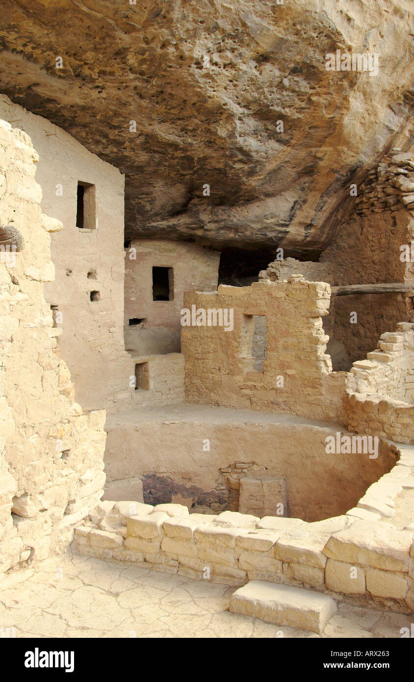 Spruce Tree House ruins at Mesa Verde National Park Colorado USA Stock ...