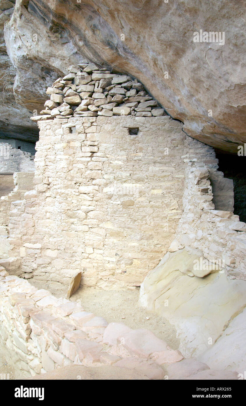 Spruce Tree House ruins at Mesa Verde National Park Colorado USA Stock ...