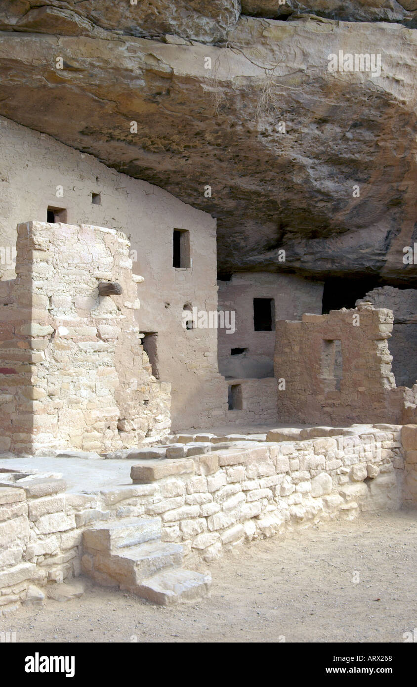 Spruce Tree House ruins at Mesa Verde National Park Colorado USA Stock ...