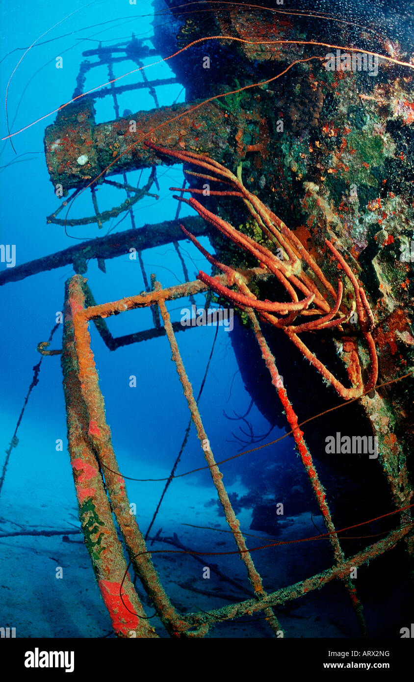 Wreck Hilma Hooker Caribbean Sea Bonaire Stock Photo