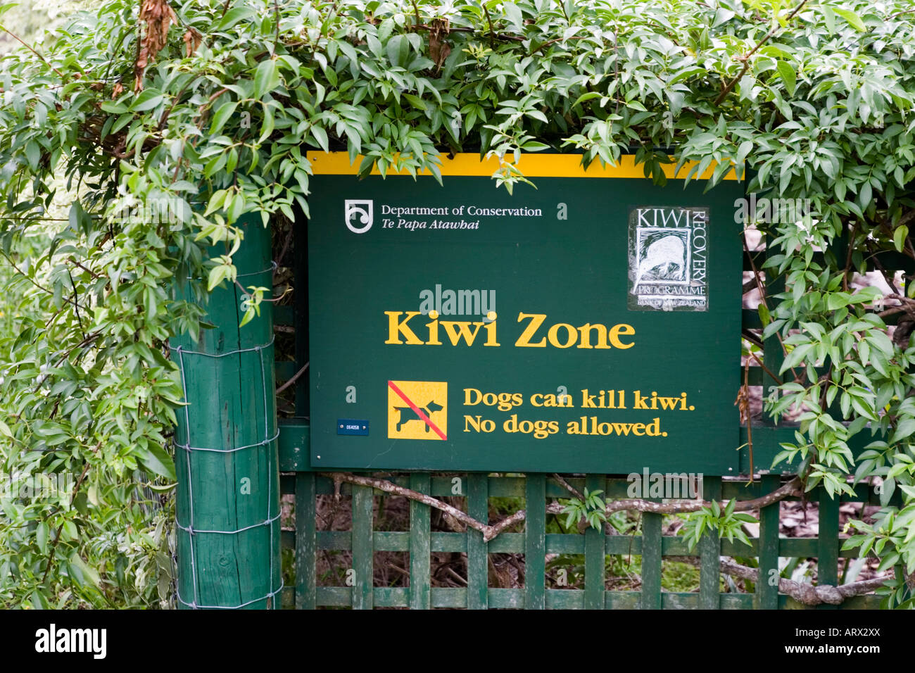 Kiwi Zone Stock Photo