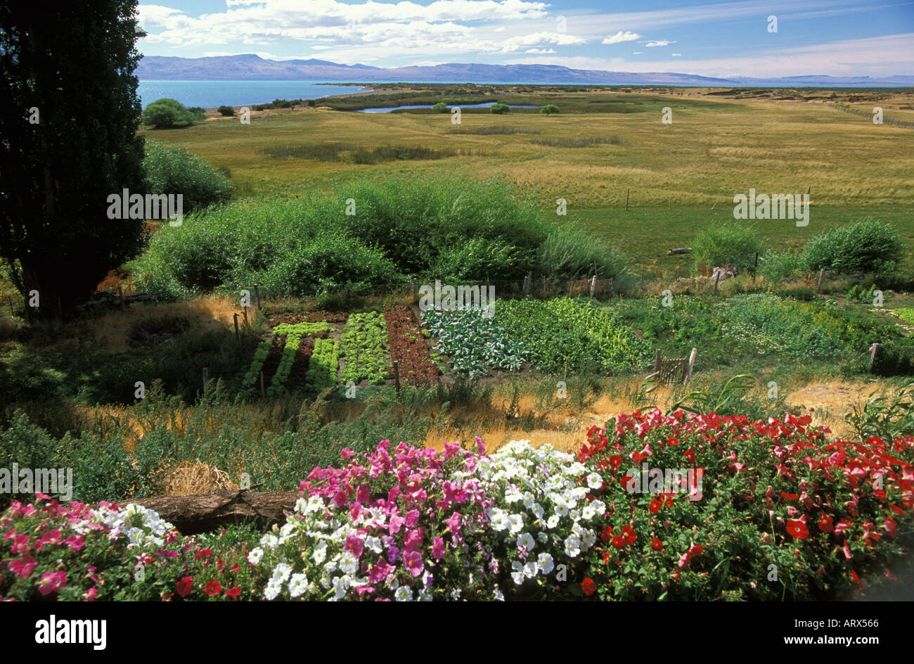 El Calafate Guest Ranch and Alice Lake, Argentina Stock Photo