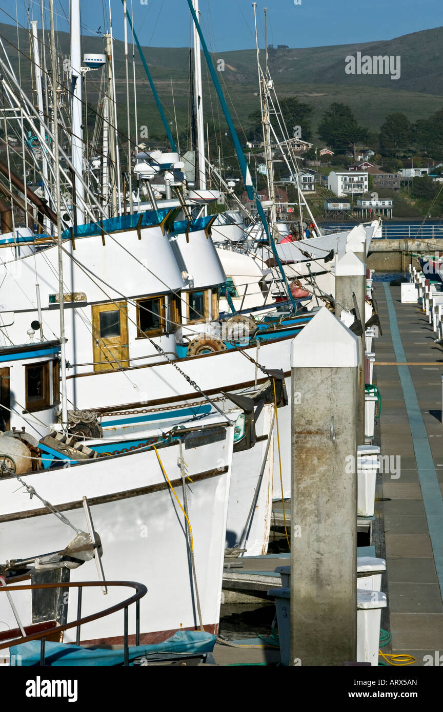 fishing boats bodega bay Stock Photo Alamy