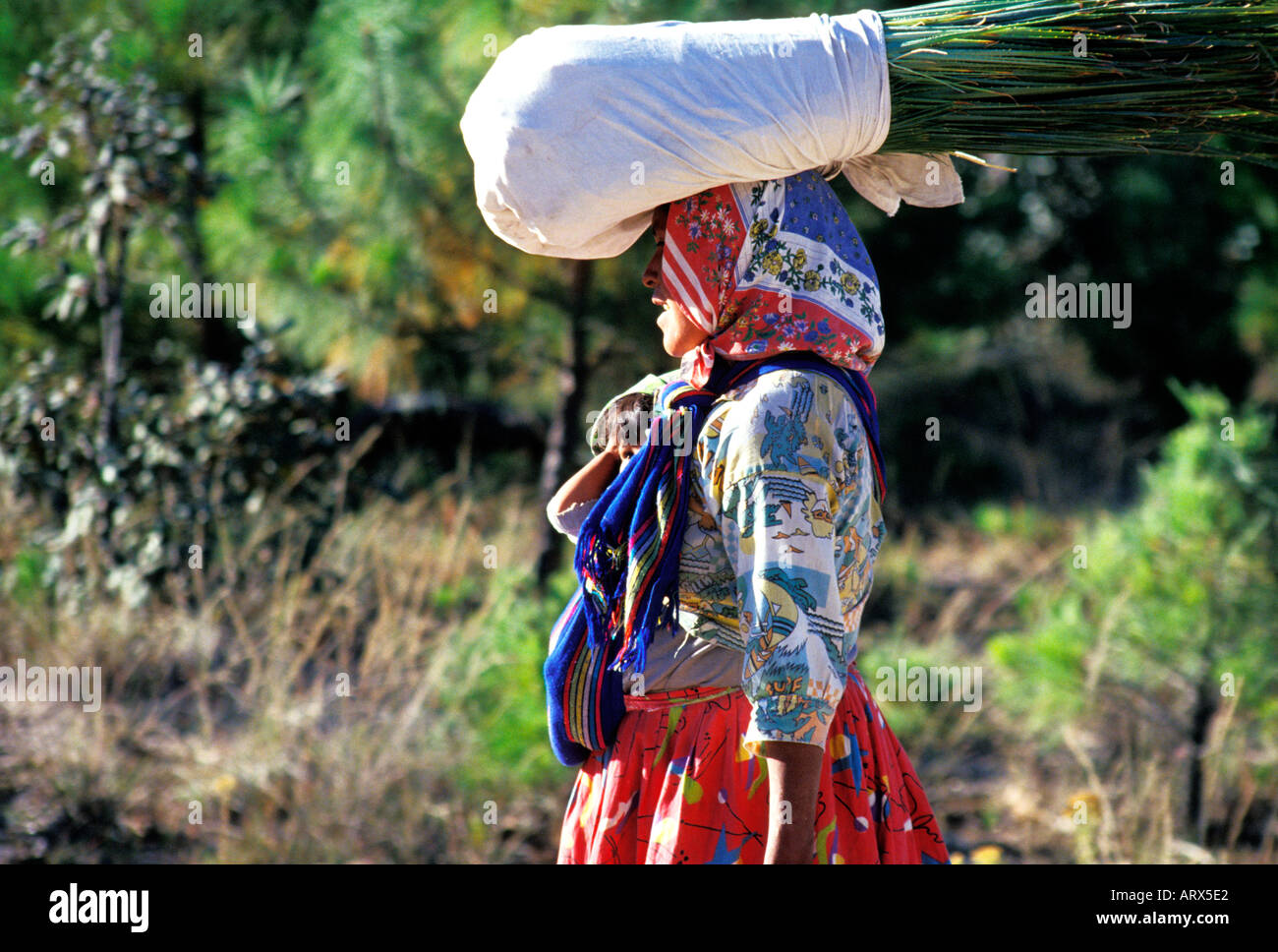 MEXICO Copper Canyon San Rafael Tarahumara Indian Woman Walking Along Road Carrying Produce Stock Photo