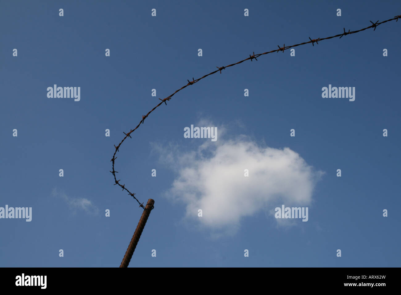 barbed wire against blue sky Stock Photo - Alamy