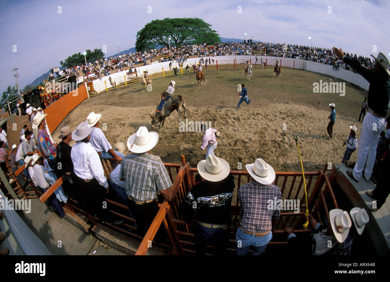 MEXICO Puerto Vallarta Cowboys Cheering On Bull Rider at Local Rodeo Arena Stock Photo