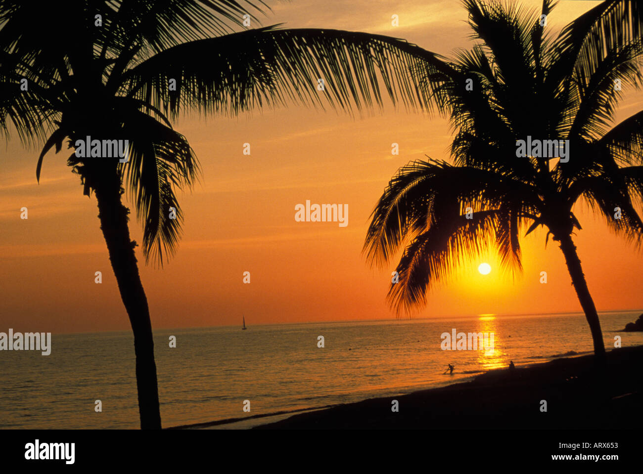 Beautiful sunset beach trees hi-res stock photography and images - Alamy