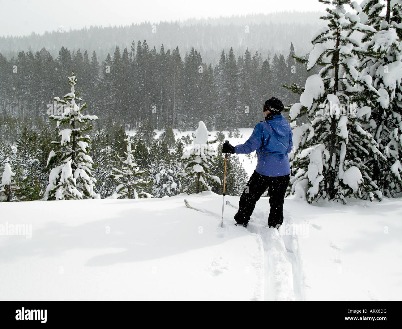 Cross Country skier enjoying fresh snow in Truckee California with a