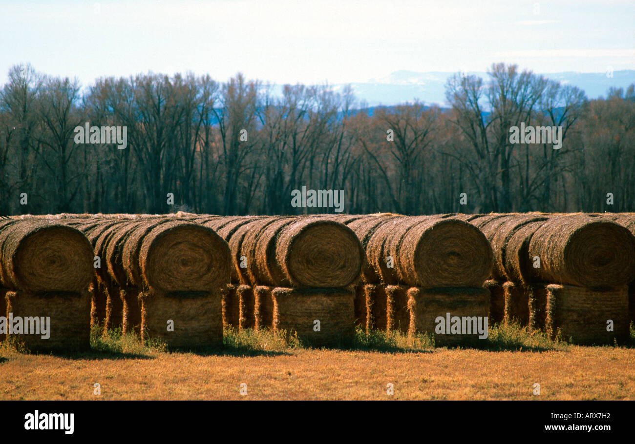 Hay rolls in valley hi-res stock photography and images - Alamy
