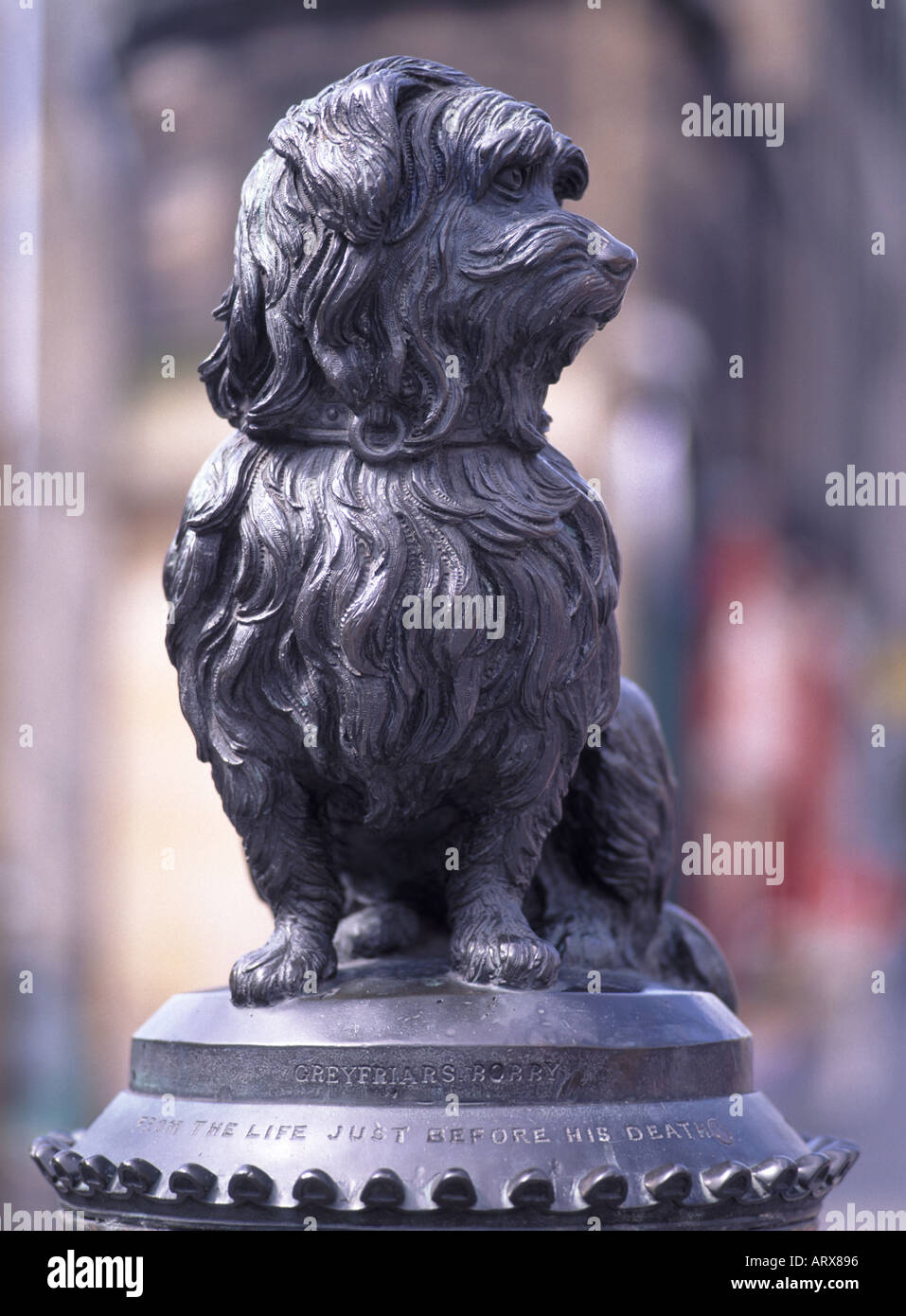 City Of Edinburgh The Old Town Greyfriars Bobby statue of dog outside