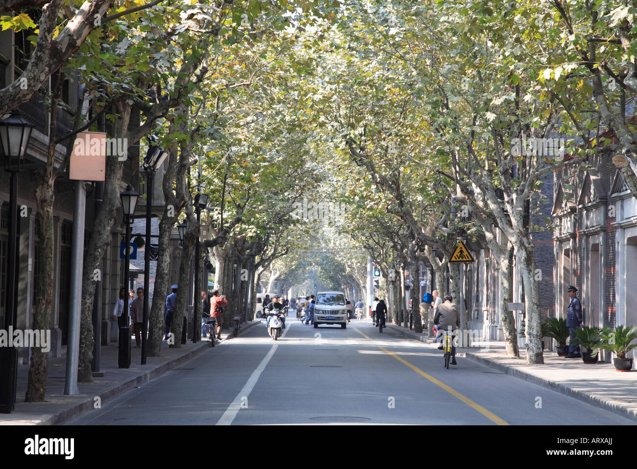 Tree lined street in the French Concession Shanghai China Stock Photo