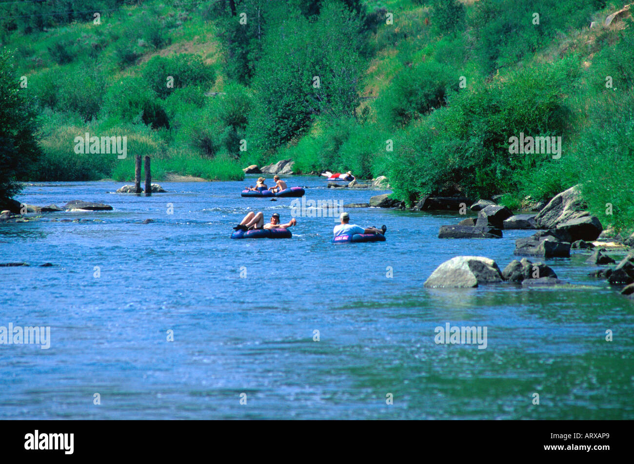 Floating the Yampa river in inner tubes Steamboat Springs Colorado USA