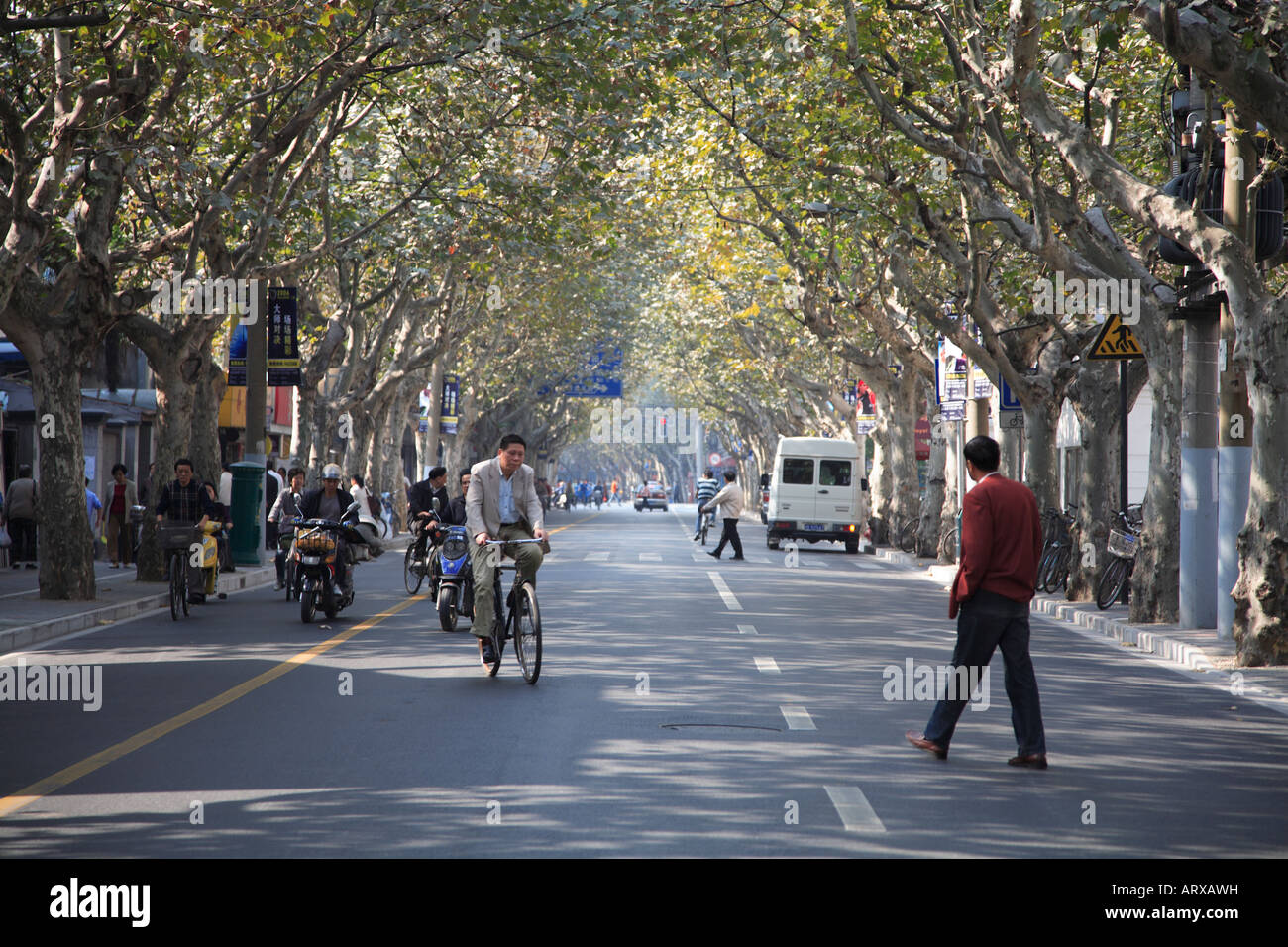 Tree lined street in the French Concession Shanghai China Stock Photo