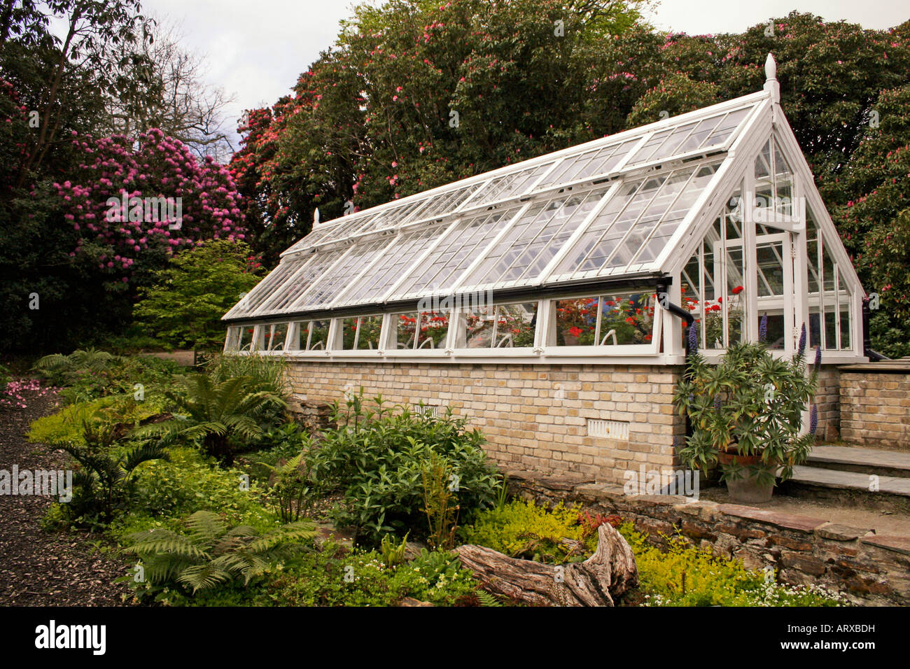 VICTORIAN GREENHOUSE LOST GARDENS OF HELIGAN. CORNWALL ENGLAND Stock