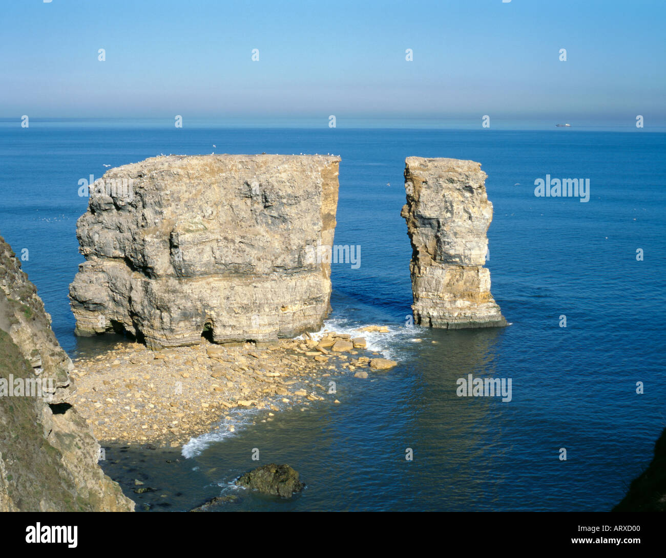 Collapsed natural rock arch through a sea stack; Marsden Rock, near Stock Photo 3009791 Alamy