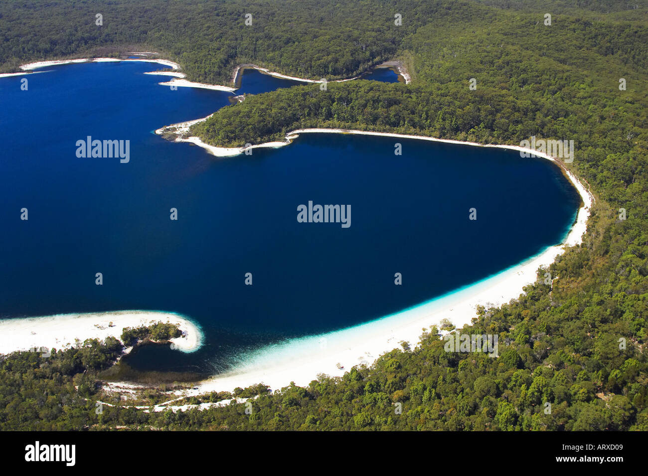 Lake McKenzie K'gari / Fraser Island Queensland Australia aerial Stock
