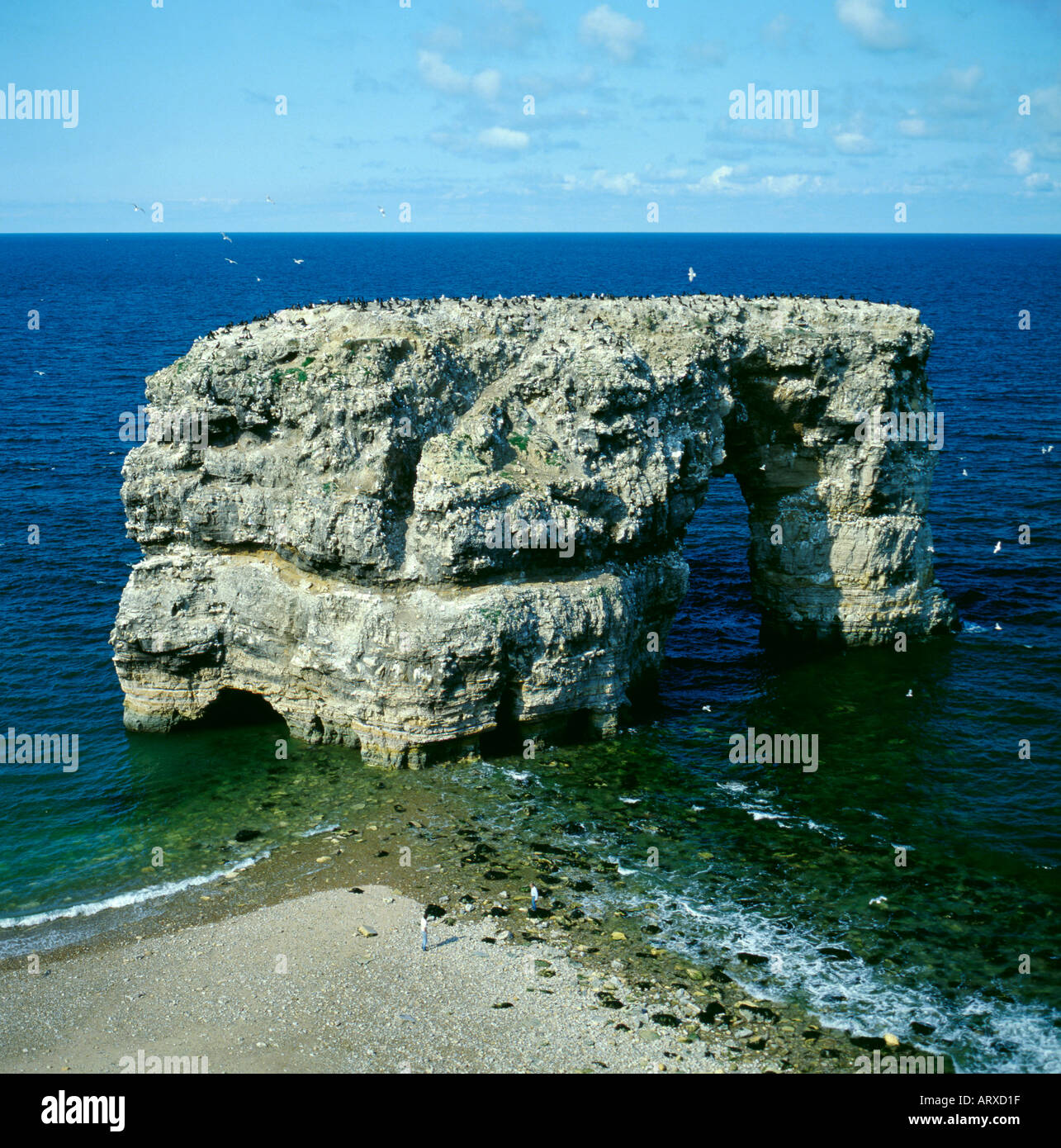 My Image 16