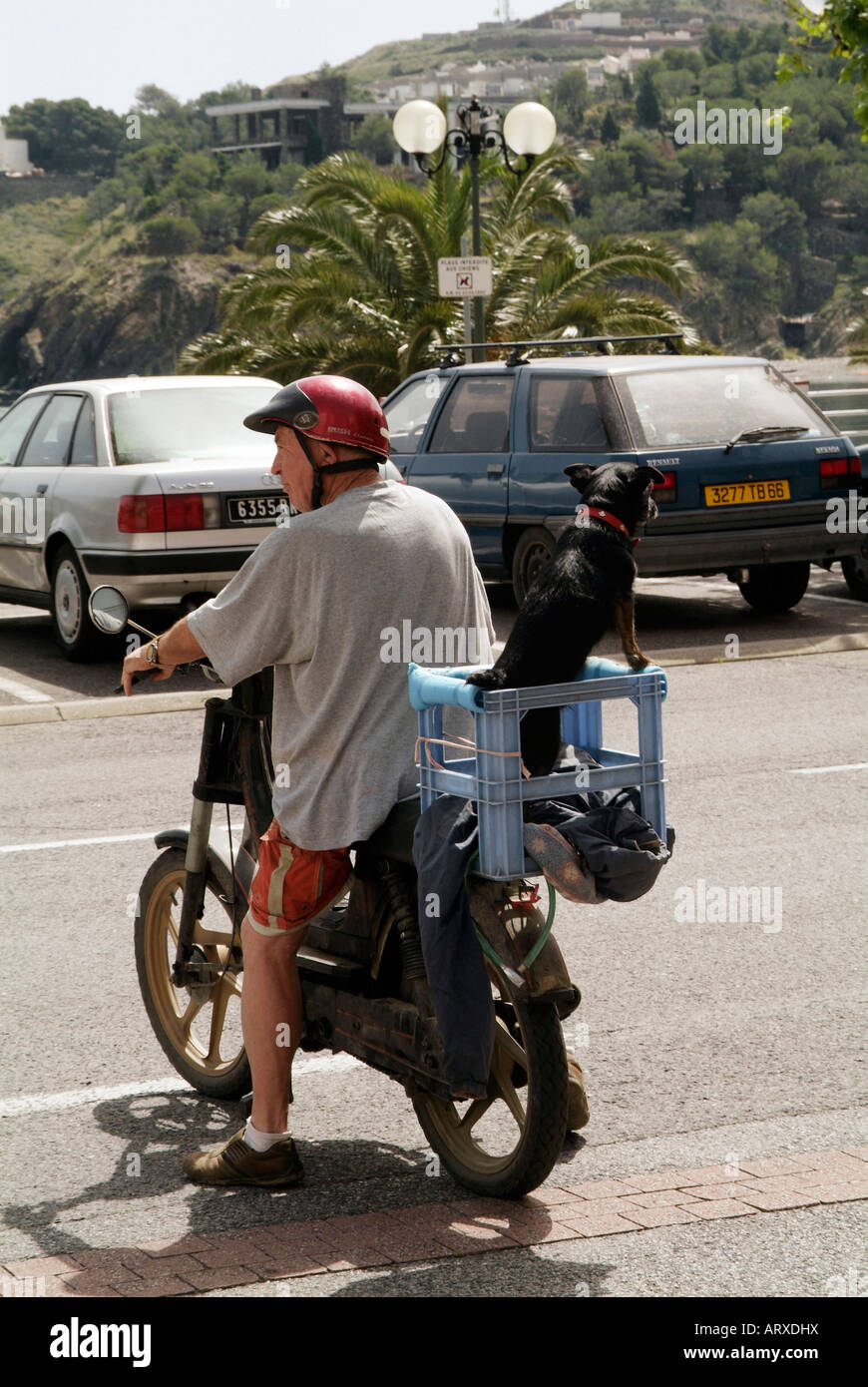 man carrying dog on motorcycle transport canine friend four legged